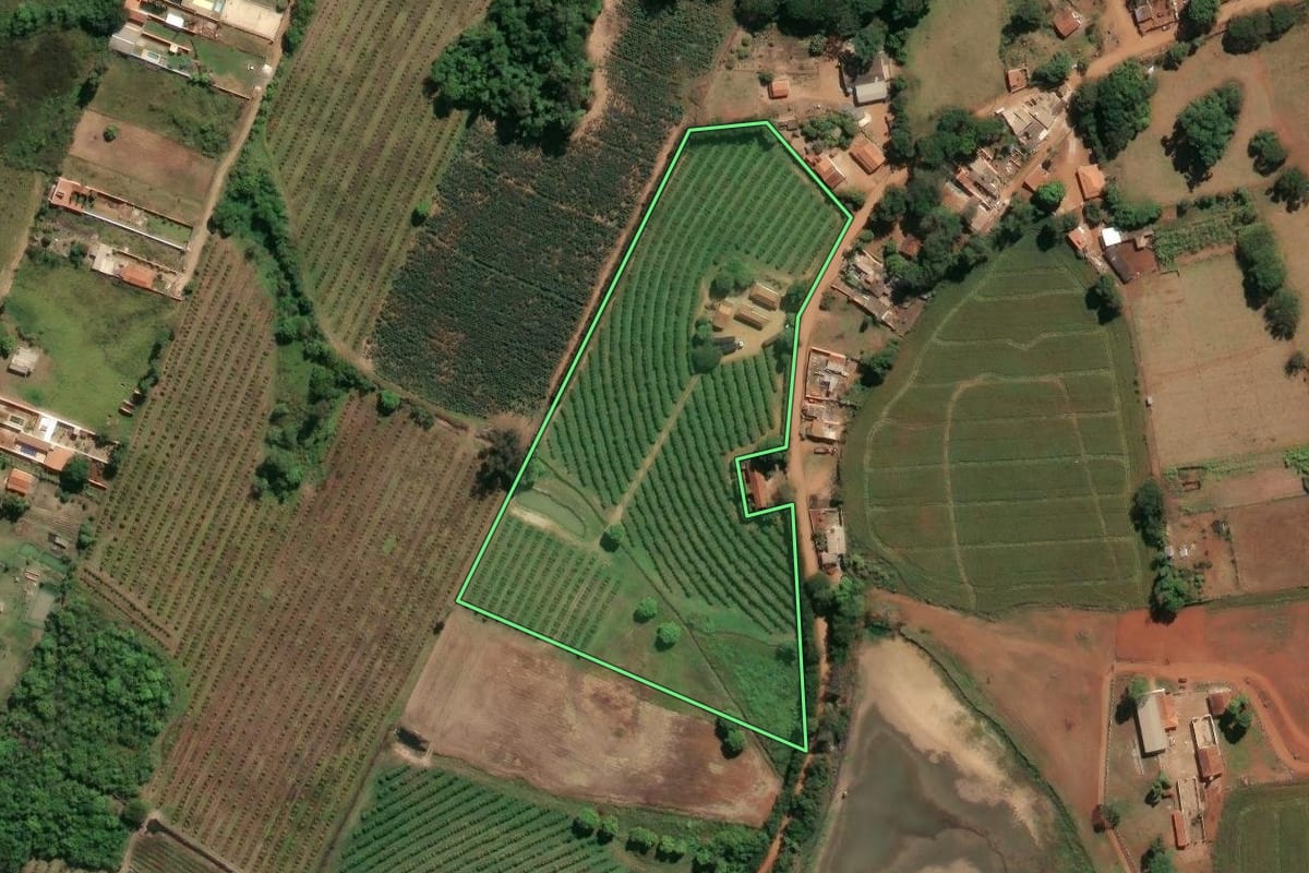 Imagem de satélite do imóvel rural em Conchal (SP), com o contorno declarado no CAR desenhado por cima.