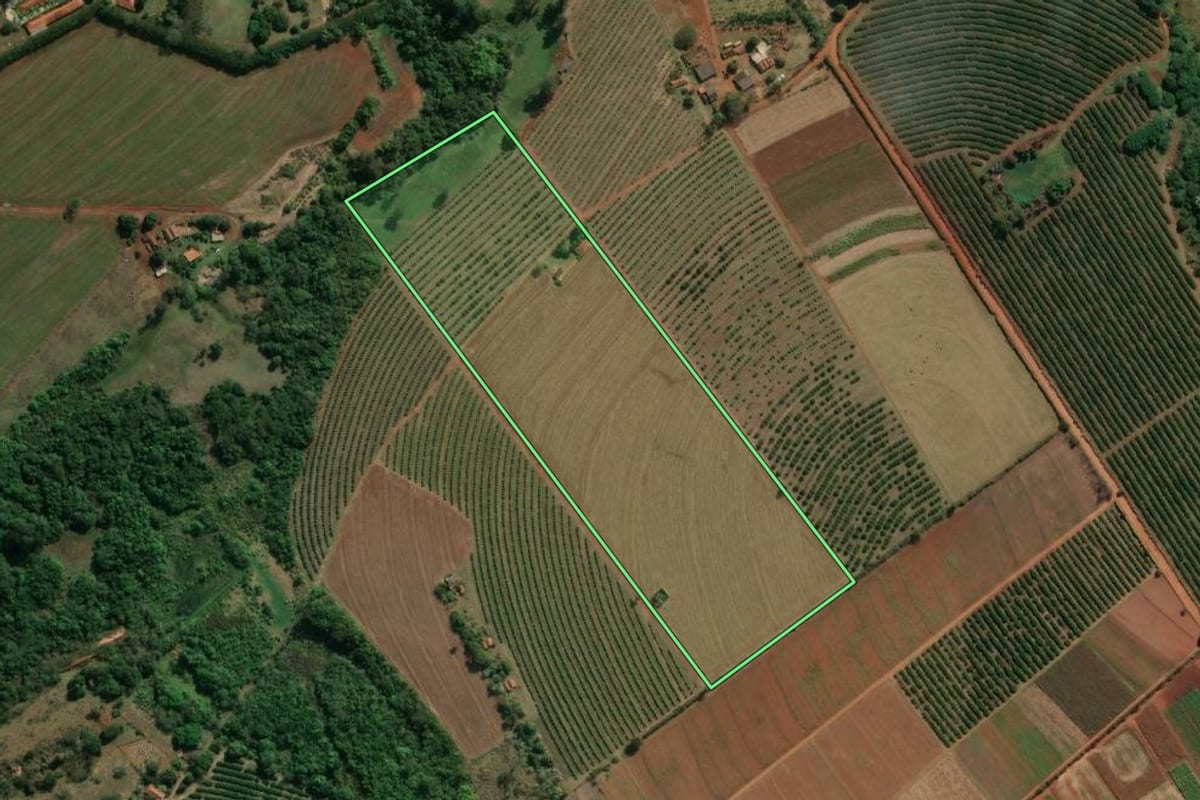 Imagem de satélite do imóvel rural em Conchal (SP), com o contorno declarado no CAR desenhado por cima.