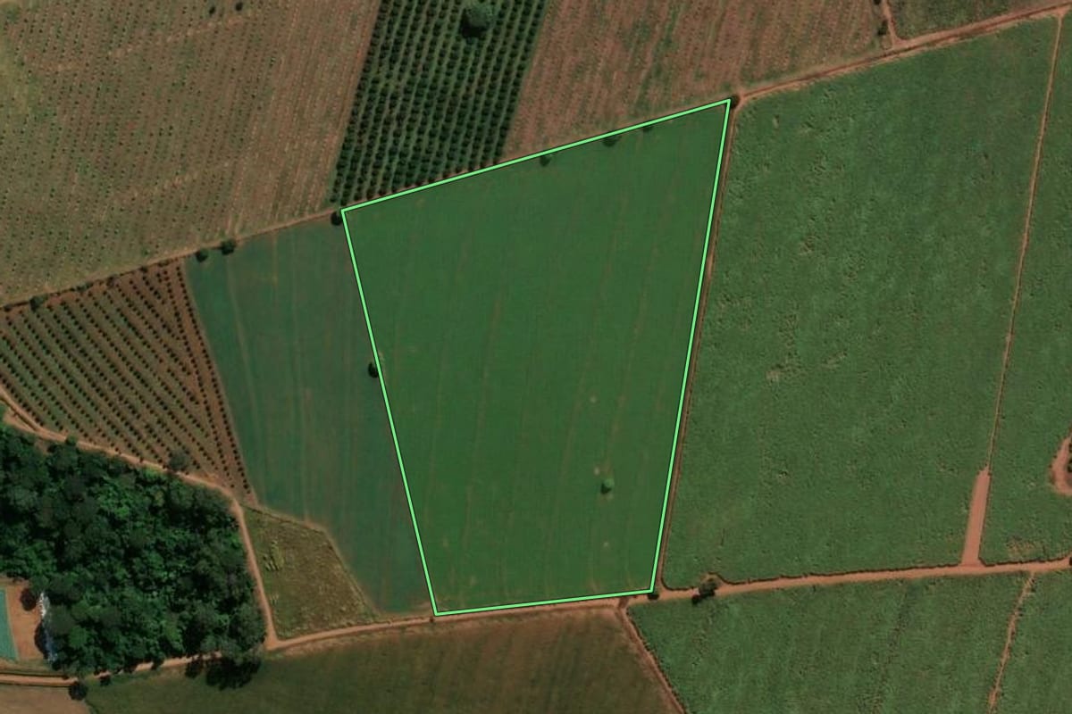 Imagem de satélite do imóvel rural em Conchal (SP), com o contorno declarado no CAR desenhado por cima.