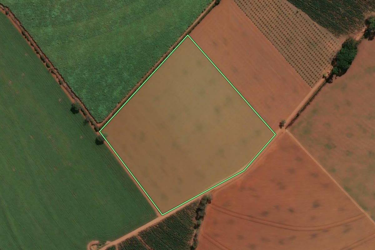 Imagem de satélite do imóvel rural em Conchal (SP), com o contorno declarado no CAR desenhado por cima.