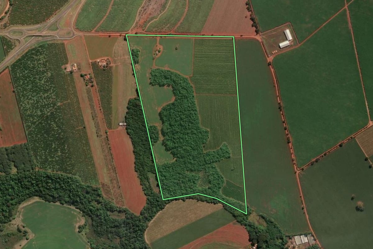 Imagem de satélite do imóvel rural em Conchal (SP), com o contorno declarado no CAR desenhado por cima.
