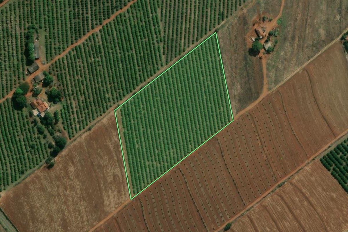 Imagem de satélite do imóvel rural em Conchal (SP), com o contorno declarado no CAR desenhado por cima.