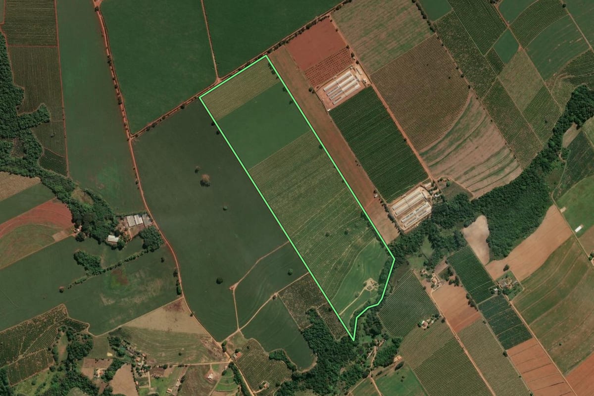Imagem de satélite do imóvel rural em Conchal (SP), com o contorno declarado no CAR desenhado por cima.