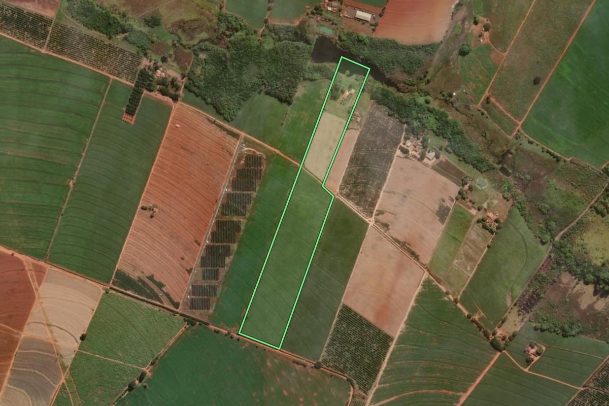 Imagem de satélite do imóvel rural em Conchal (SP), com o contorno declarado no CAR desenhado por cima.