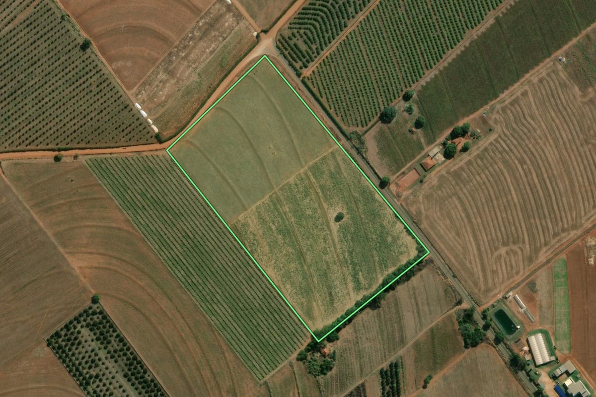 Imagem de satélite do imóvel rural em Conchal (SP), com o contorno declarado no CAR desenhado por cima.