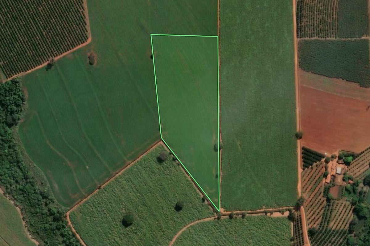 Imagem de satélite do imóvel rural em Conchal (SP), com o contorno declarado no CAR desenhado por cima.