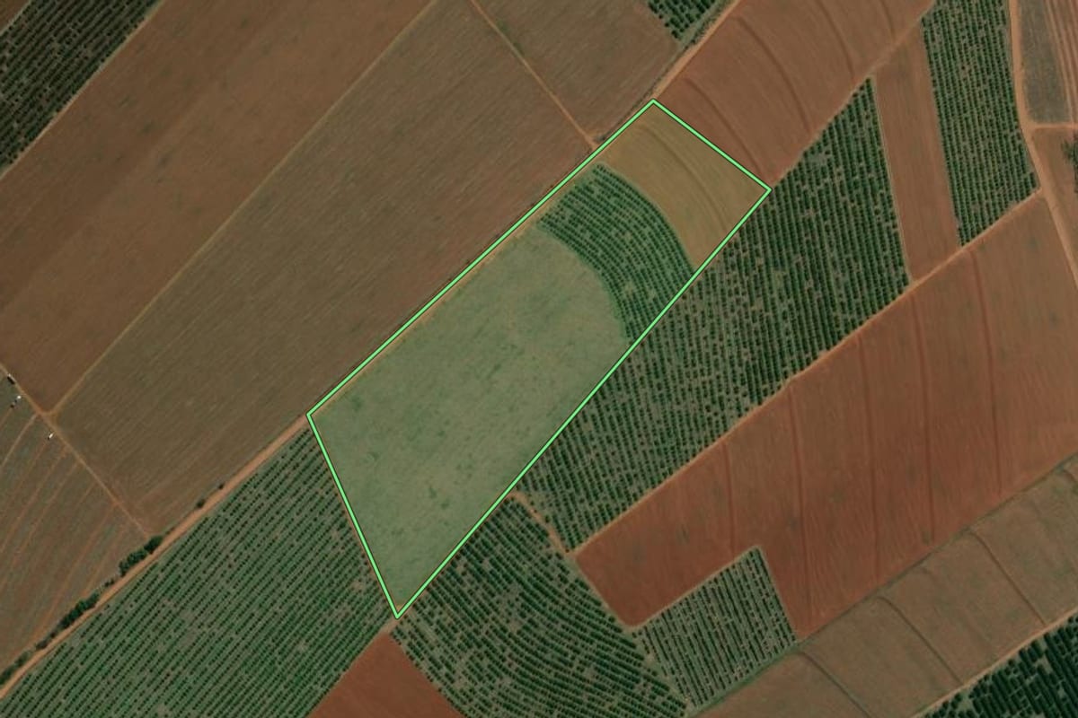 Imagem de satélite do imóvel rural em Conchal (SP), com o contorno declarado no CAR desenhado por cima.