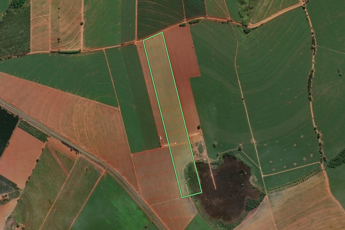Imagem de satélite do imóvel rural em Conchal (SP), com o contorno declarado no CAR desenhado por cima.