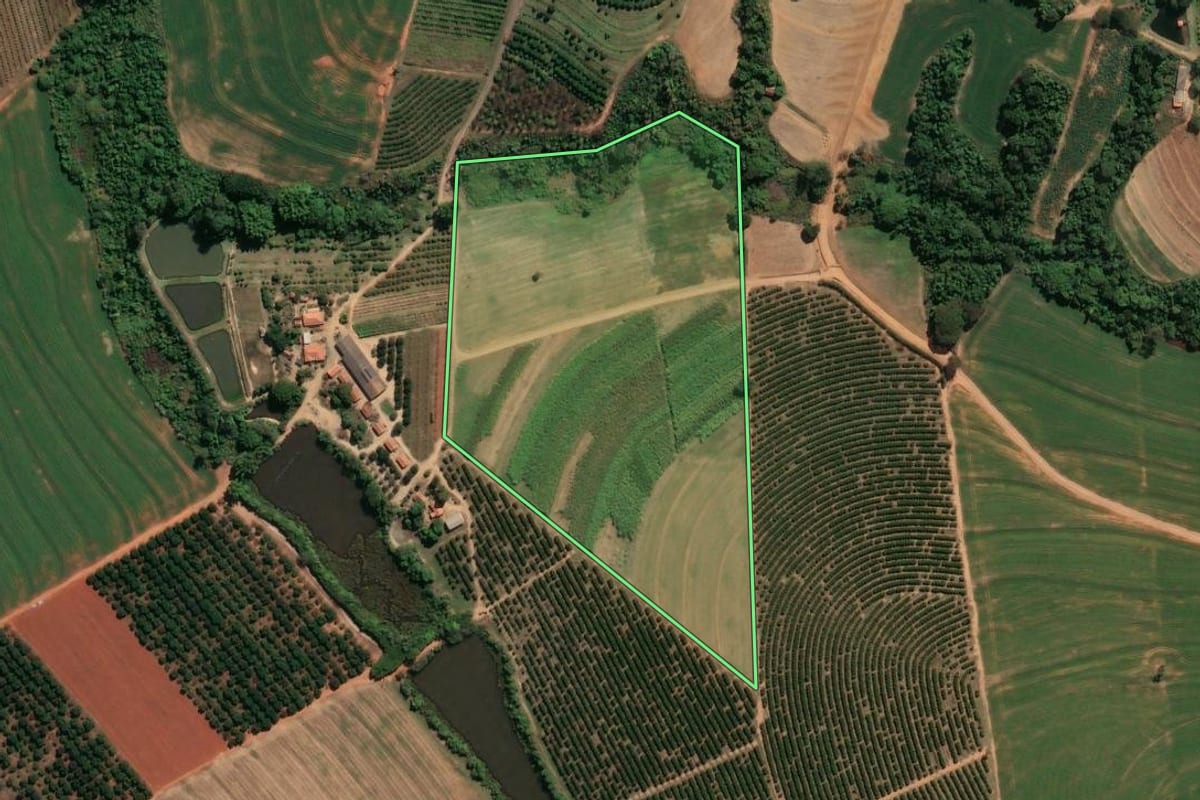 Imagem de satélite do imóvel rural em Conchal (SP), com o contorno declarado no CAR desenhado por cima.