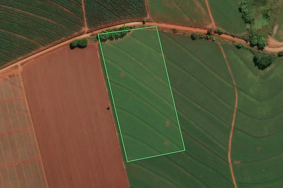Imagem de satélite do imóvel rural em Conchal (SP), com o contorno declarado no CAR desenhado por cima.
