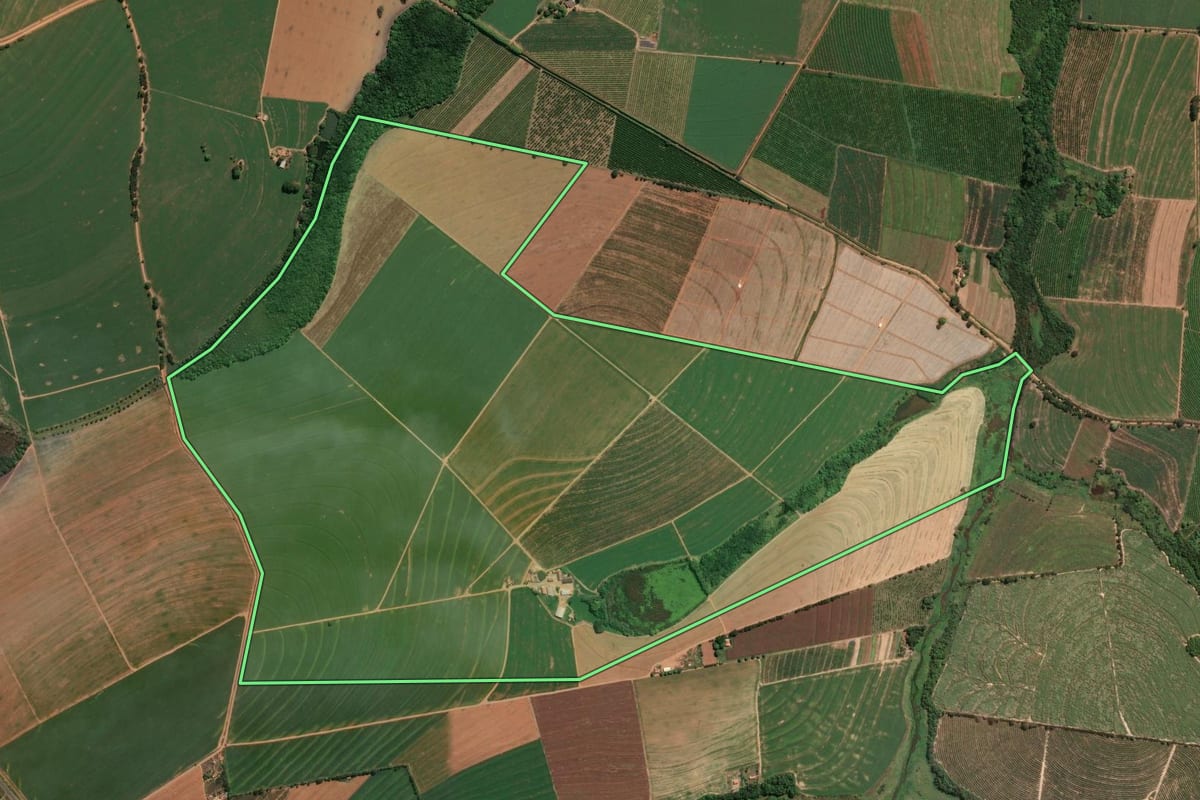 Imagem de satélite do imóvel rural em Conchal (SP), com o contorno declarado no CAR desenhado por cima.