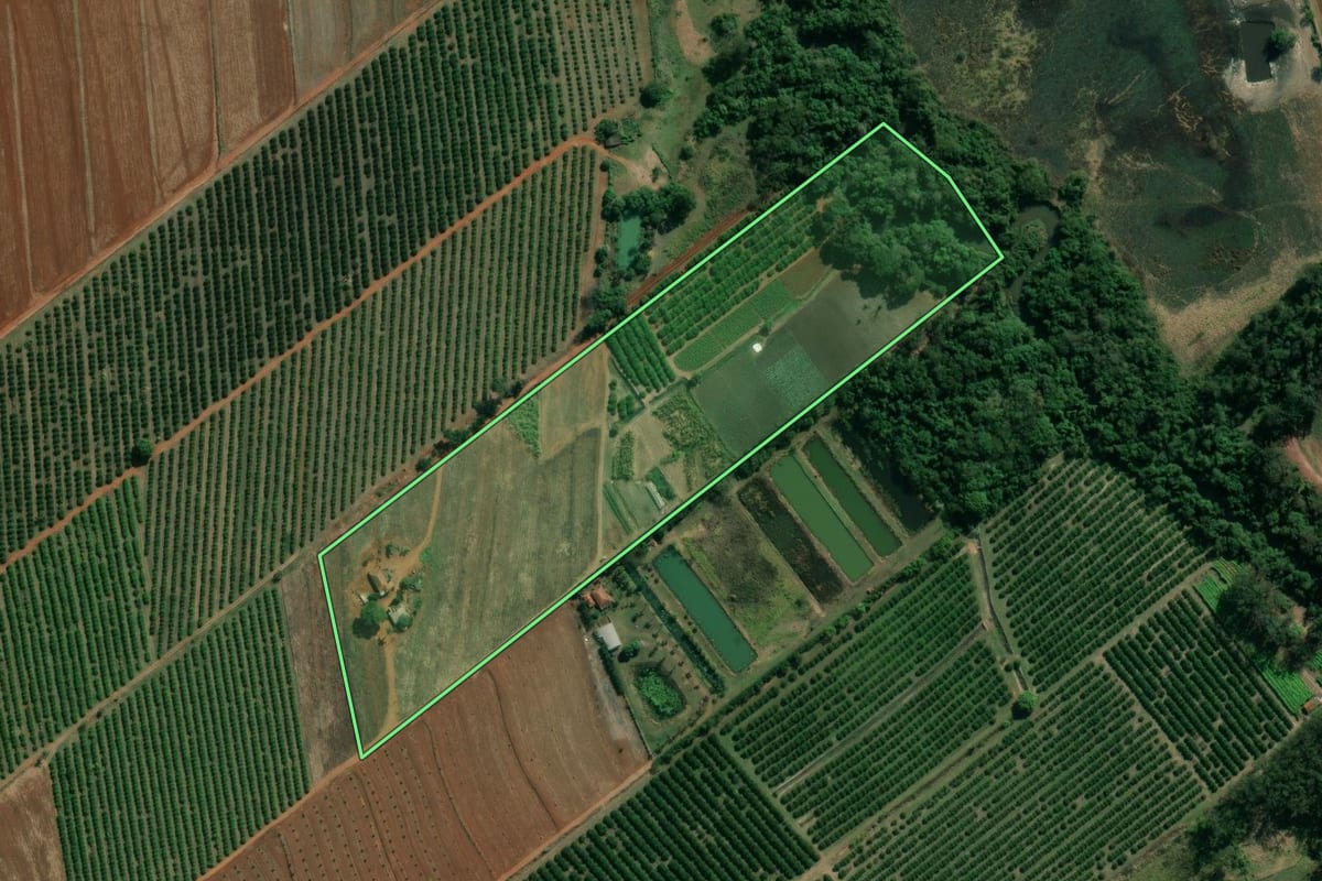 Imagem de satélite do imóvel rural em Conchal (SP), com o contorno declarado no CAR desenhado por cima.