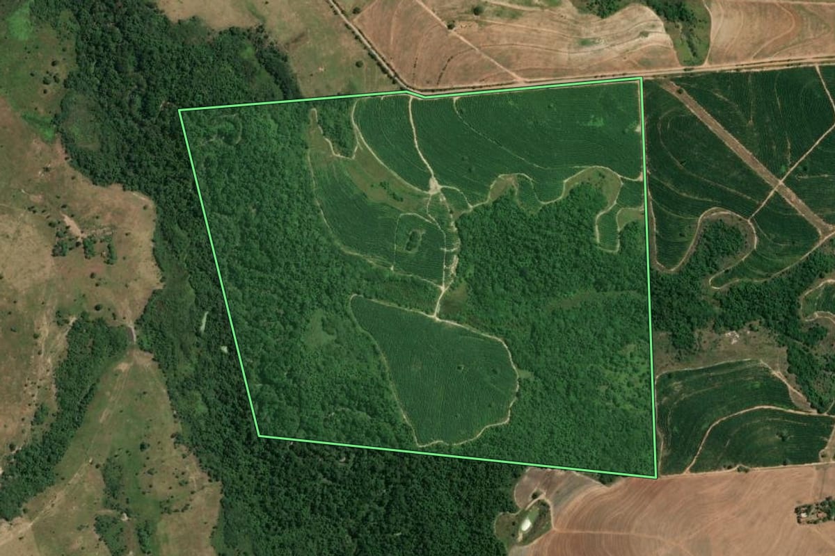 Imagem de satélite do imóvel rural em Conchas (SP), com o contorno declarado no CAR desenhado por cima.