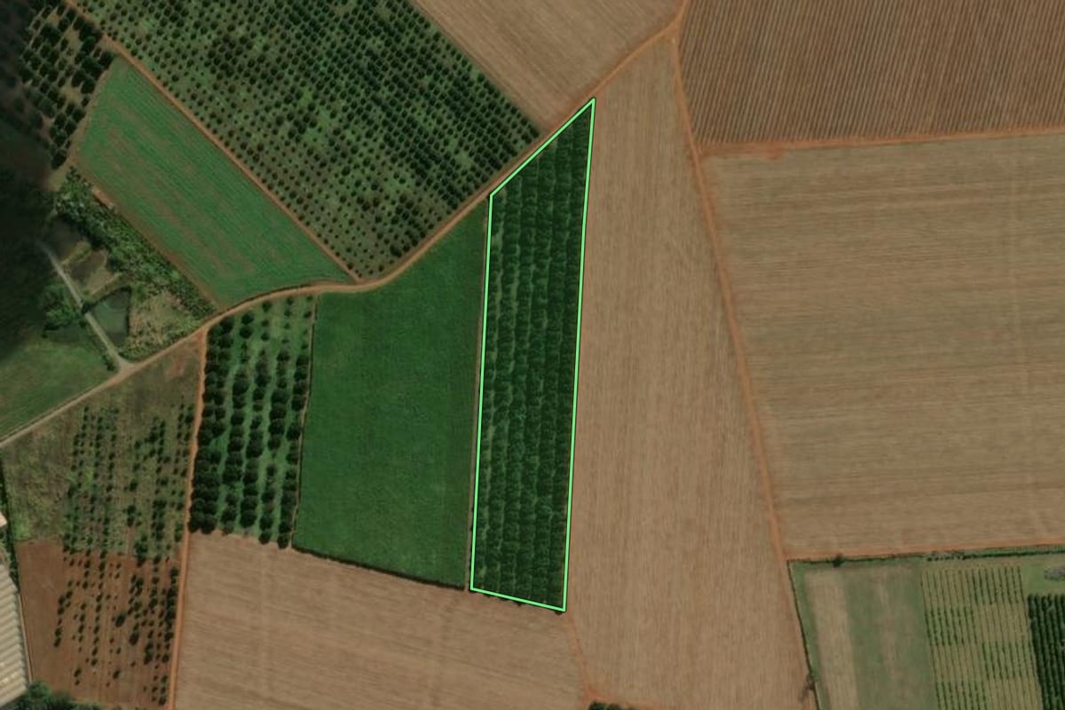 Imagem de satélite do imóvel rural em Cordeirópolis (SP), com o contorno declarado no CAR desenhado por cima.