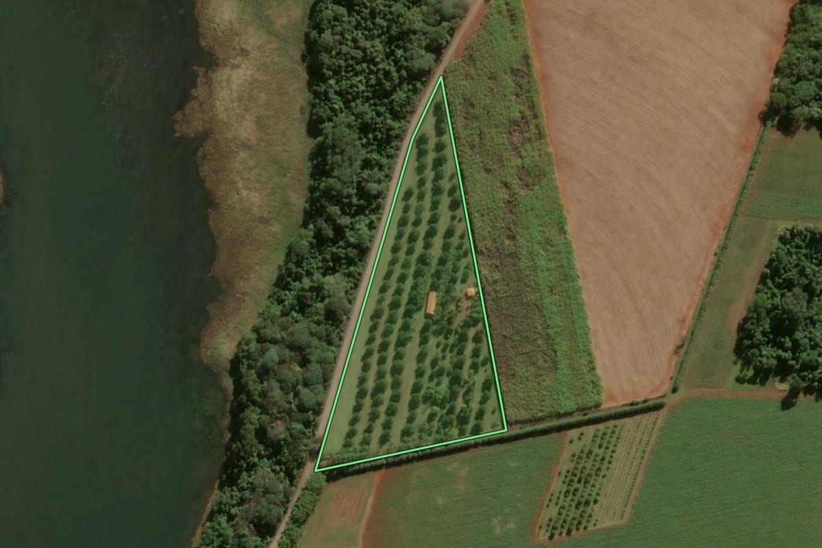 Imagem de satélite do imóvel rural em Cordeirópolis (SP), com o contorno declarado no CAR desenhado por cima.