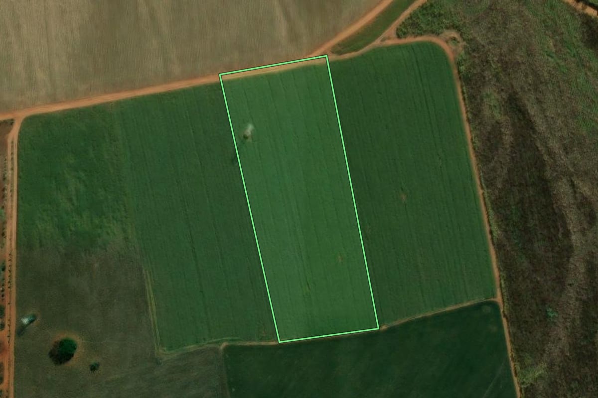 Imagem de satélite do imóvel rural em Cordeirópolis (SP), com o contorno declarado no CAR desenhado por cima.