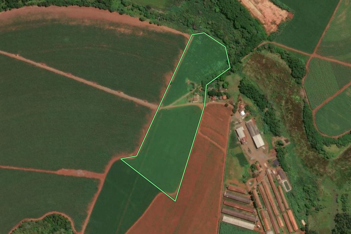 Imagem de satélite do imóvel rural em Cordeirópolis (SP), com o contorno declarado no CAR desenhado por cima.