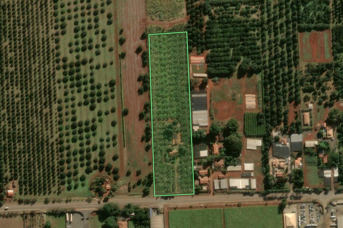 Imagem de satélite do imóvel rural em Cordeirópolis (SP), com o contorno declarado no CAR desenhado por cima.