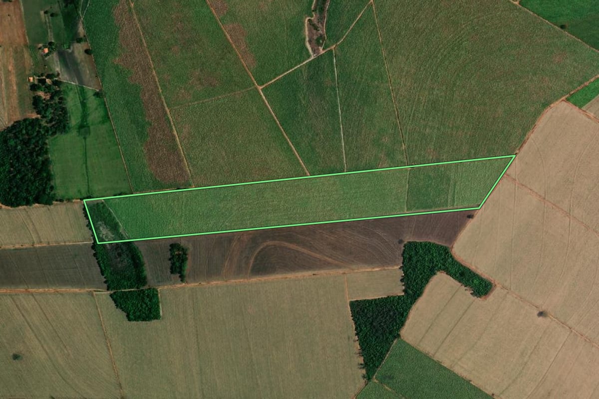 Imagem de satélite do imóvel rural em Coroados (SP), com o contorno declarado no CAR desenhado por cima.