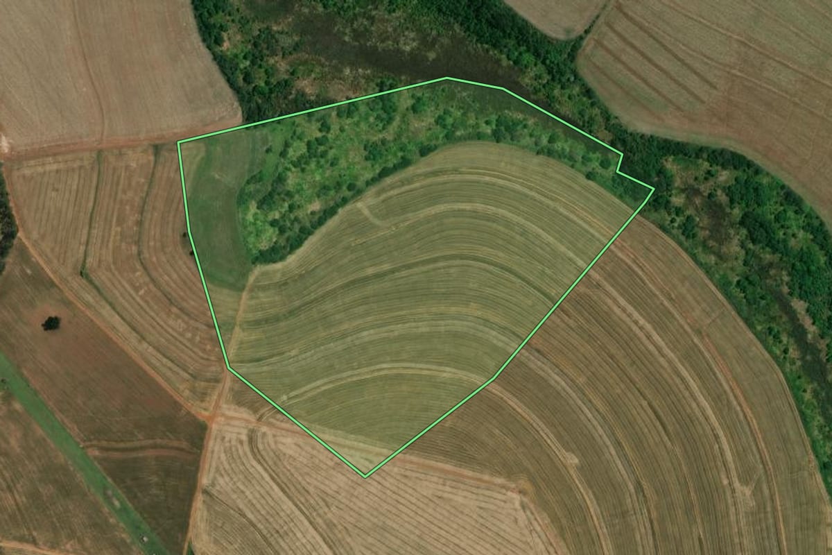 Imagem de satélite do imóvel rural em Coronel Macedo (SP), com o contorno declarado no CAR desenhado por cima.