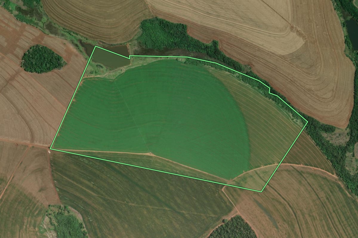 Imagem de satélite do imóvel rural em Coronel Macedo (SP), com o contorno declarado no CAR desenhado por cima.