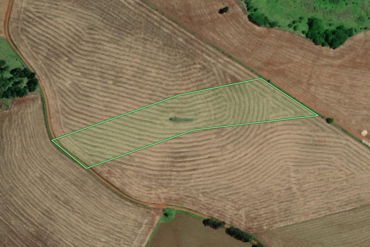 Imagem de satélite do imóvel rural em Coronel Macedo (SP), com o contorno declarado no CAR desenhado por cima.