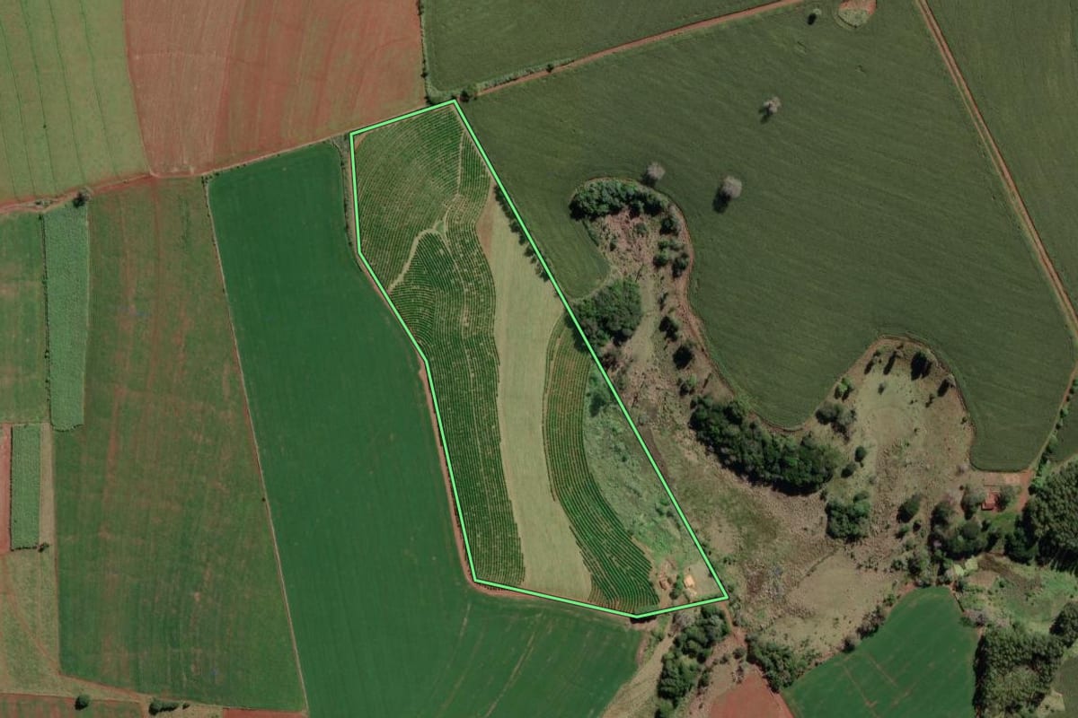 Imagem de satélite do imóvel rural em Coronel Macedo (SP), com o contorno declarado no CAR desenhado por cima.