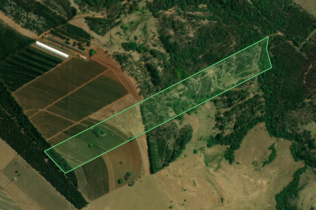 Imagem de satélite do imóvel rural em Corumbataí (SP), com o contorno declarado no CAR desenhado por cima.