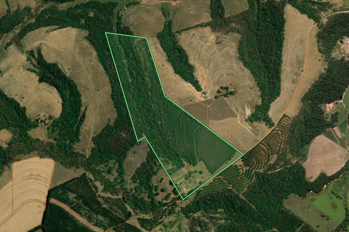 Imagem de satélite do imóvel rural em Corumbataí (SP), com o contorno declarado no CAR desenhado por cima.