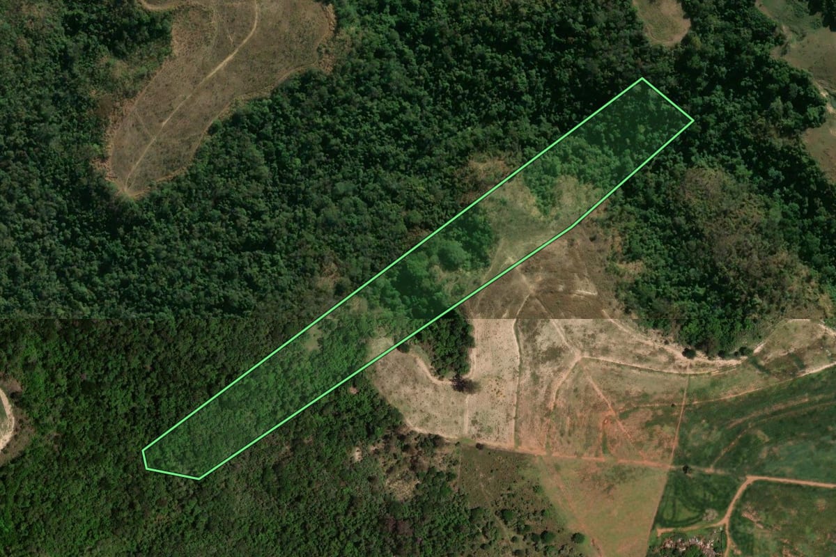 Imagem de satélite do imóvel rural em Cosmópolis (SP), com o contorno declarado no CAR desenhado por cima.