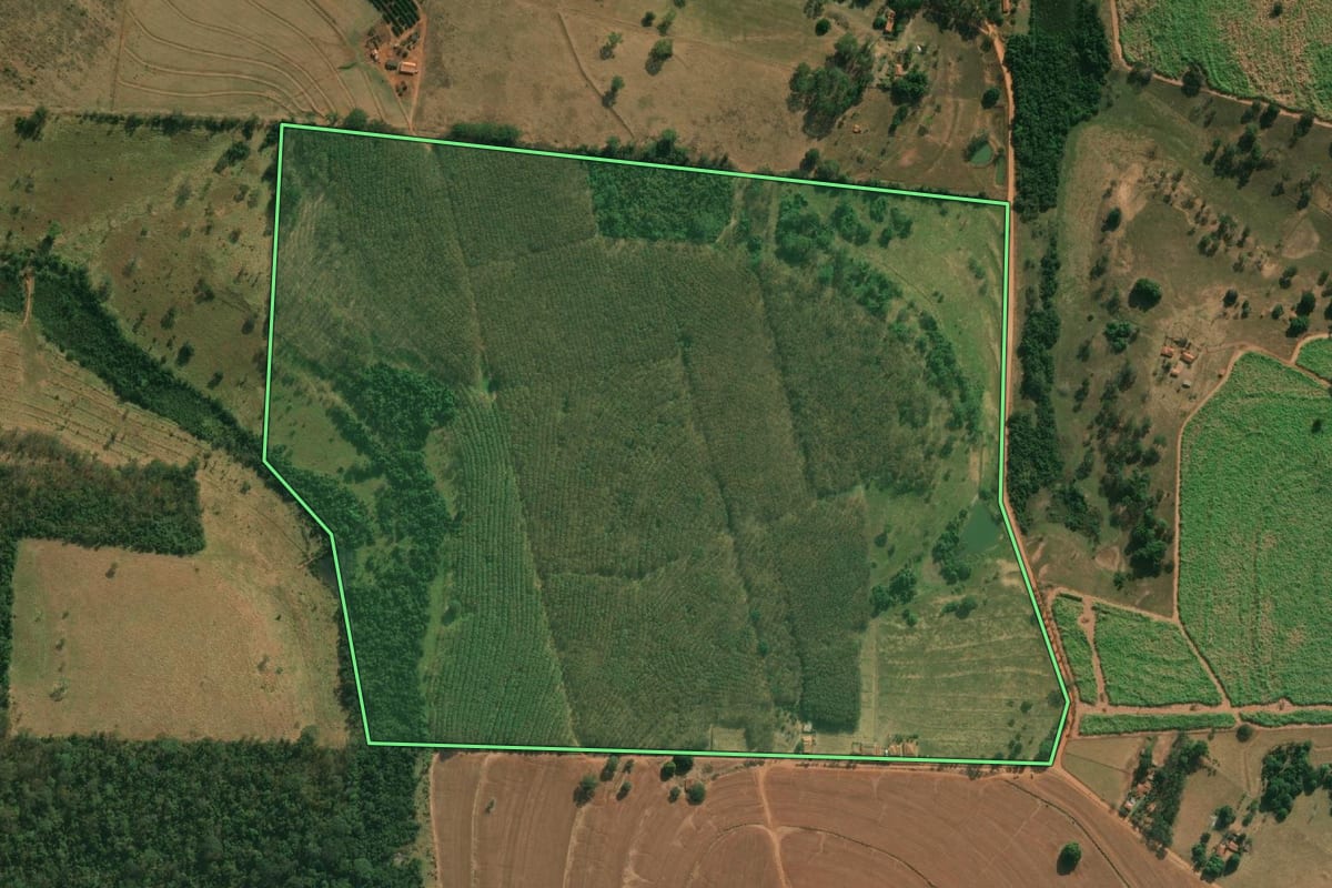 Imagem de satélite do imóvel rural em Cosmorama (SP), com o contorno declarado no CAR desenhado por cima.