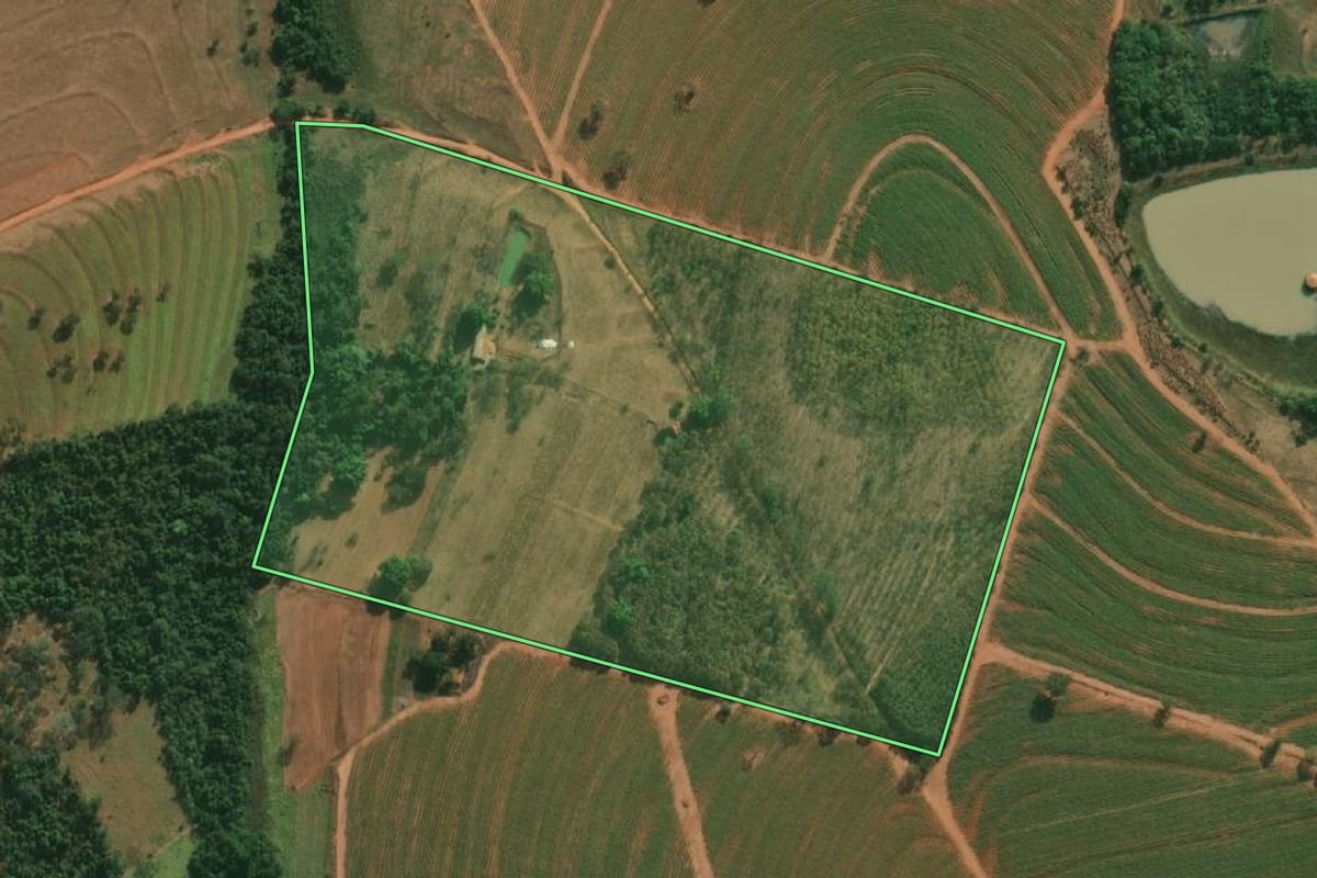 Imagem de satélite do imóvel rural em Cosmorama (SP), com o contorno declarado no CAR desenhado por cima.
