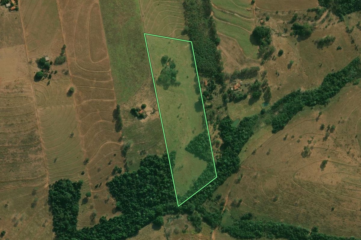 Imagem de satélite do imóvel rural em Cosmorama (SP), com o contorno declarado no CAR desenhado por cima.