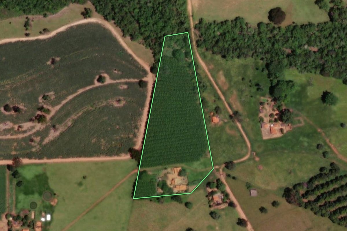 Imagem de satélite do imóvel rural em Cosmorama (SP), com o contorno declarado no CAR desenhado por cima.