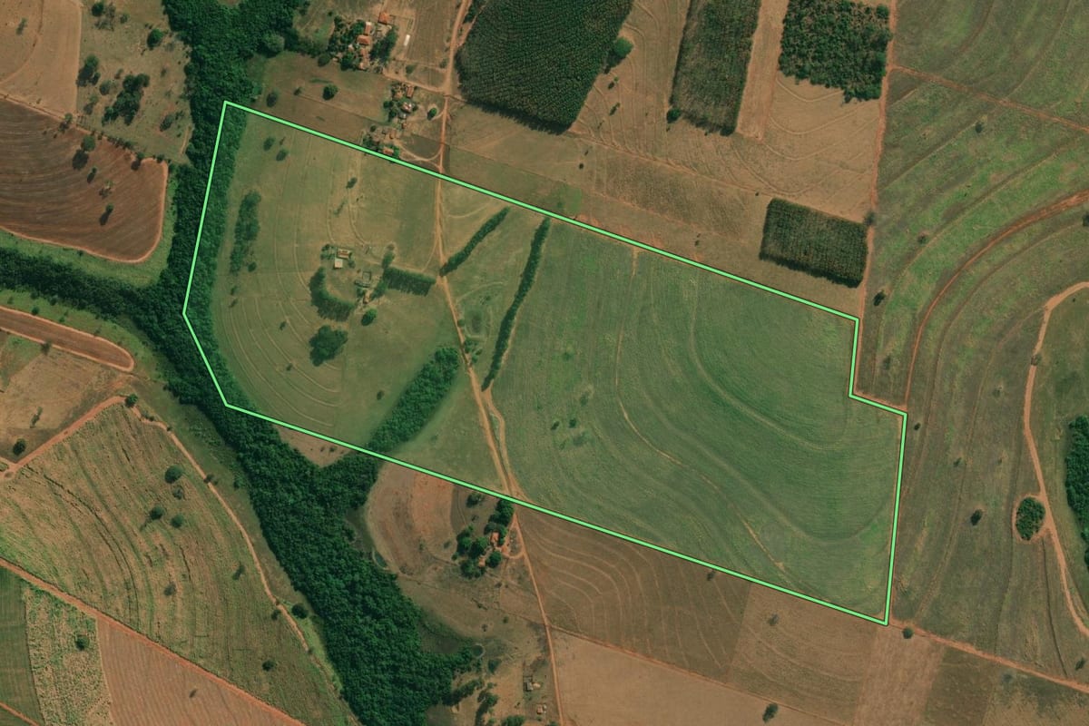Imagem de satélite do imóvel rural em Cosmorama (SP), com o contorno declarado no CAR desenhado por cima.