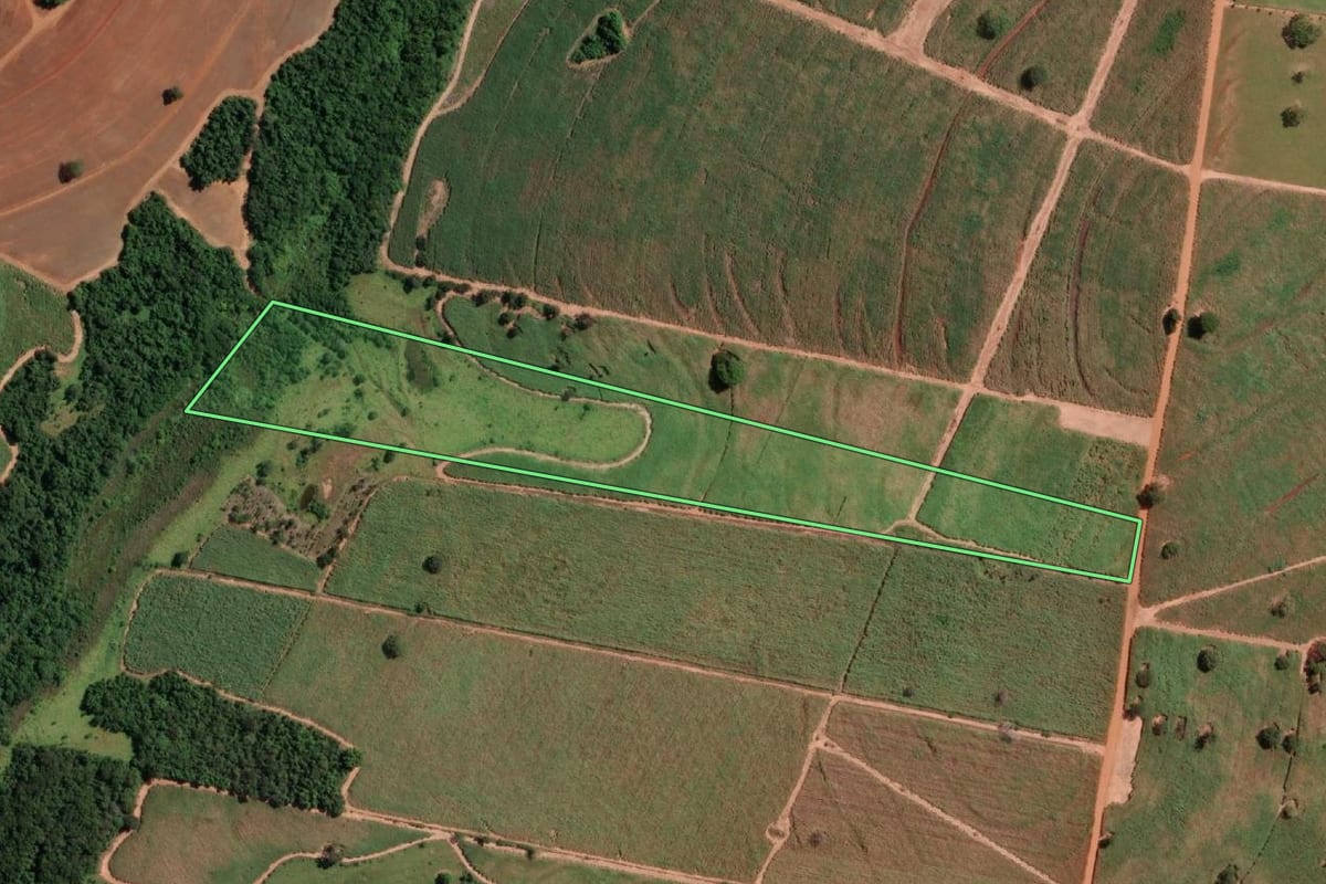 Imagem de satélite do imóvel rural em Cosmorama (SP), com o contorno declarado no CAR desenhado por cima.