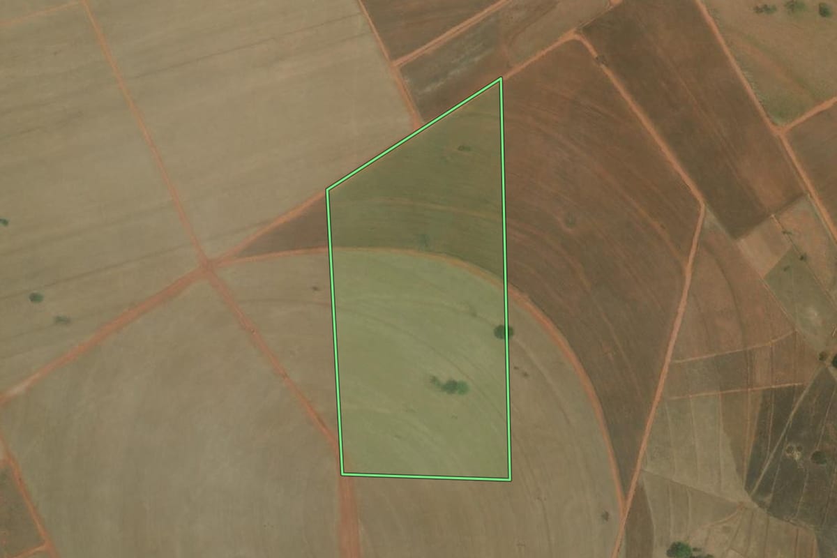 Imagem de satélite do imóvel rural em Cosmorama (SP), com o contorno declarado no CAR desenhado por cima.