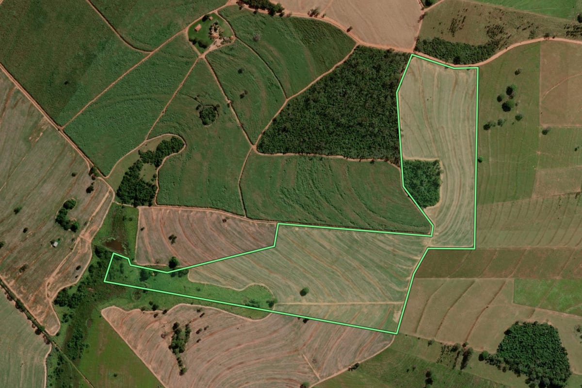 Imagem de satélite do imóvel rural em Cosmorama (SP), com o contorno declarado no CAR desenhado por cima.