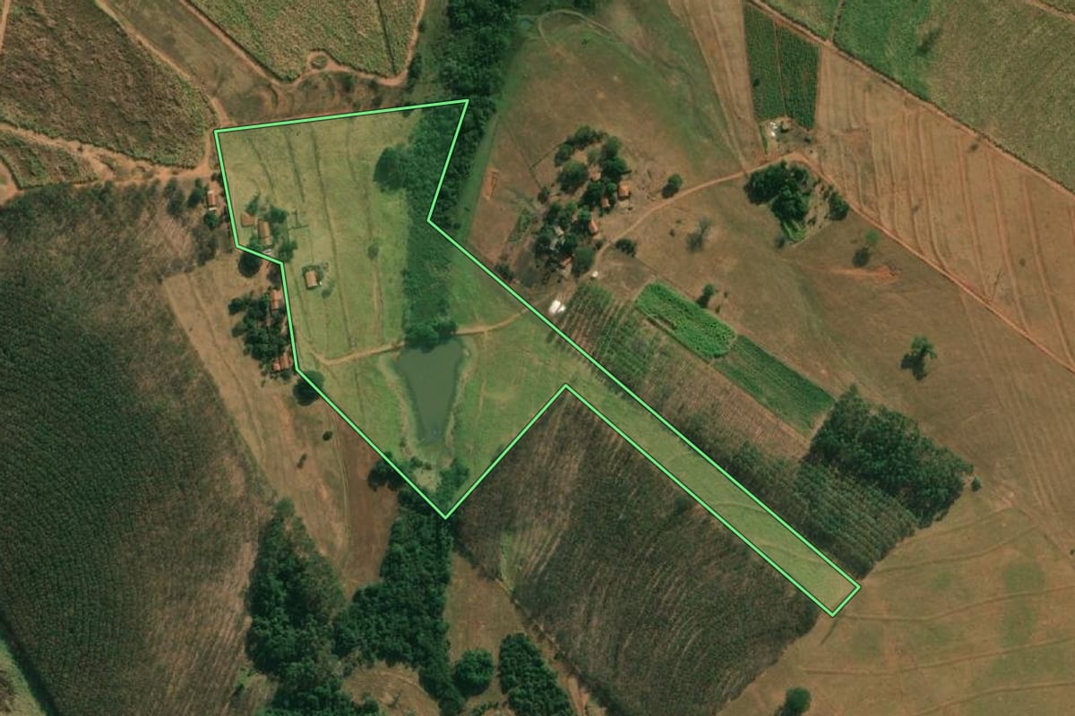 Imagem de satélite do imóvel rural em Cosmorama (SP), com o contorno declarado no CAR desenhado por cima.