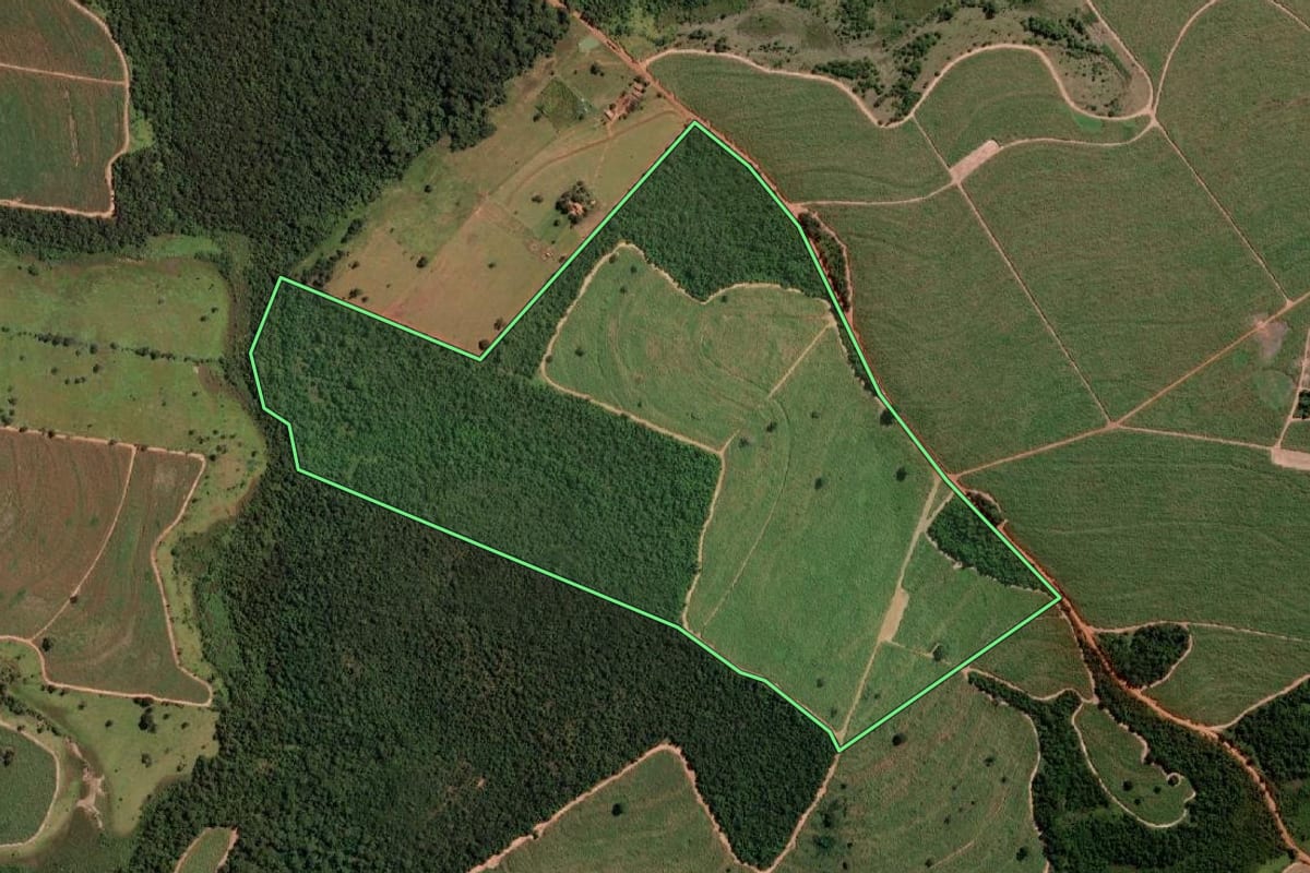 Imagem de satélite do imóvel rural em Cosmorama (SP), com o contorno declarado no CAR desenhado por cima.