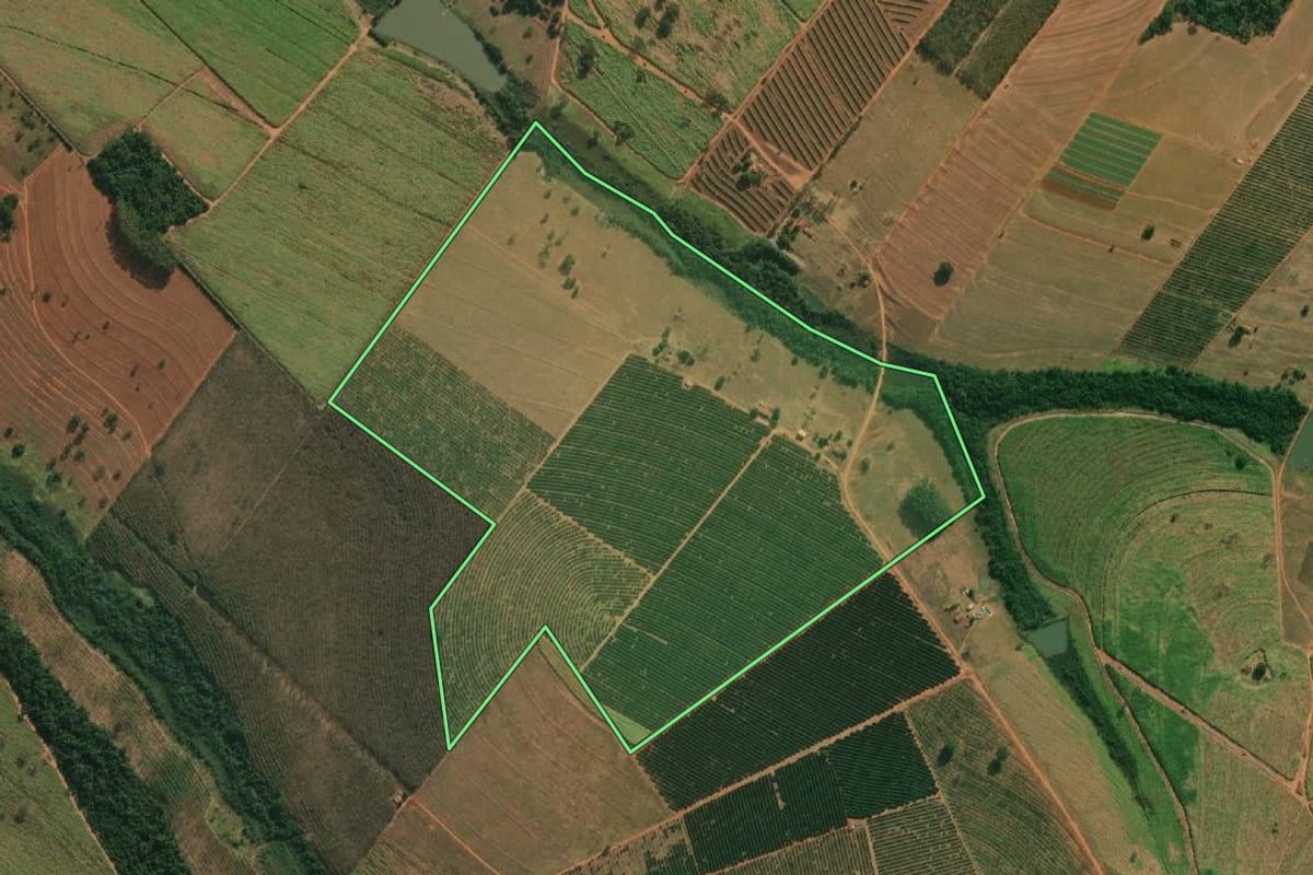 Imagem de satélite do imóvel rural em Cosmorama (SP), com o contorno declarado no CAR desenhado por cima.