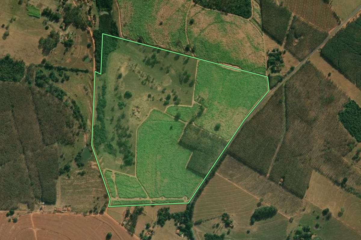 Imagem de satélite do imóvel rural em Cosmorama (SP), com o contorno declarado no CAR desenhado por cima.