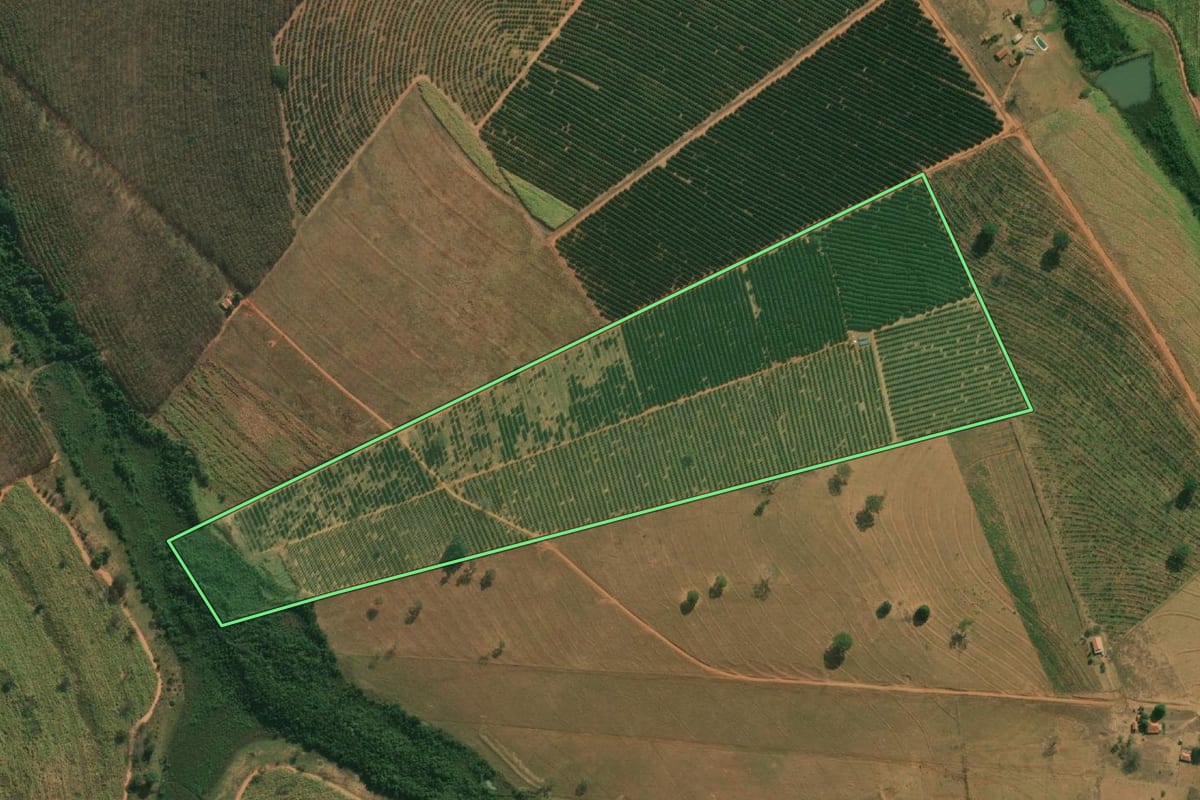 Imagem de satélite do imóvel rural em Cosmorama (SP), com o contorno declarado no CAR desenhado por cima.