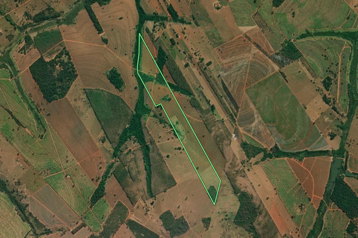 Imagem de satélite do imóvel rural em Cosmorama (SP), com o contorno declarado no CAR desenhado por cima.