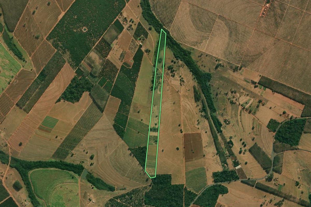 Imagem de satélite do imóvel rural em Cosmorama (SP), com o contorno declarado no CAR desenhado por cima.