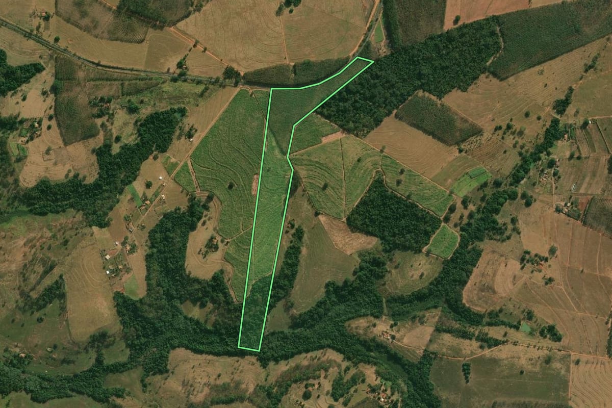 Imagem de satélite do imóvel rural em Cosmorama (SP), com o contorno declarado no CAR desenhado por cima.