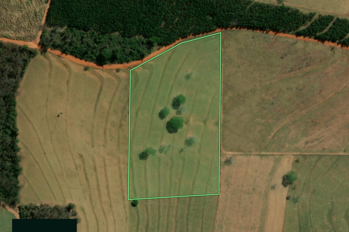 Imagem de satélite do imóvel rural em Cosmorama (SP), com o contorno declarado no CAR desenhado por cima.