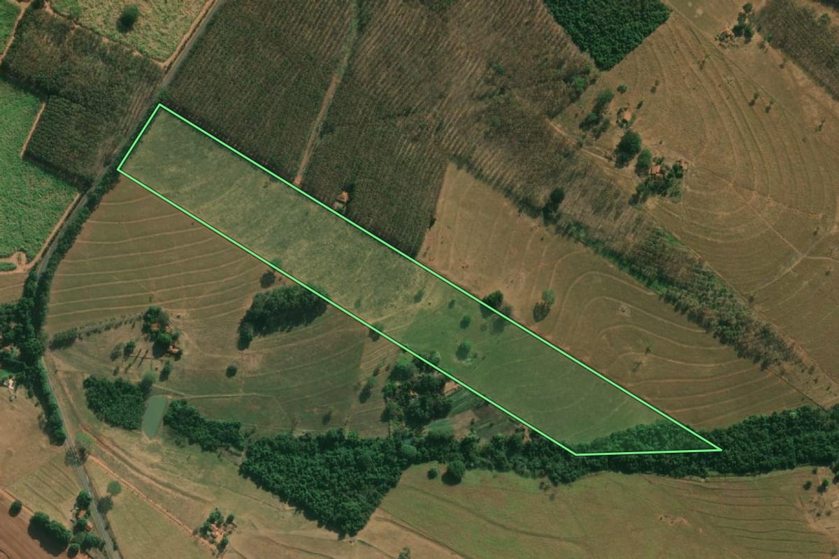 Imagem de satélite do imóvel rural em Cosmorama (SP), com o contorno declarado no CAR desenhado por cima.