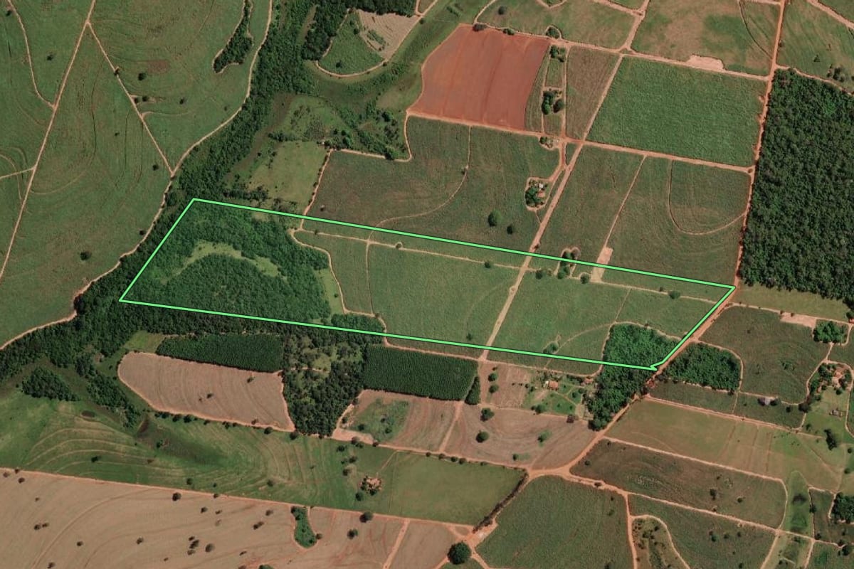 Imagem de satélite do imóvel rural em Cosmorama (SP), com o contorno declarado no CAR desenhado por cima.