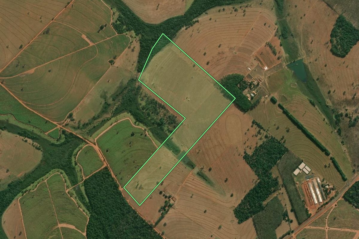 Imagem de satélite do imóvel rural em Cosmorama (SP), com o contorno declarado no CAR desenhado por cima.